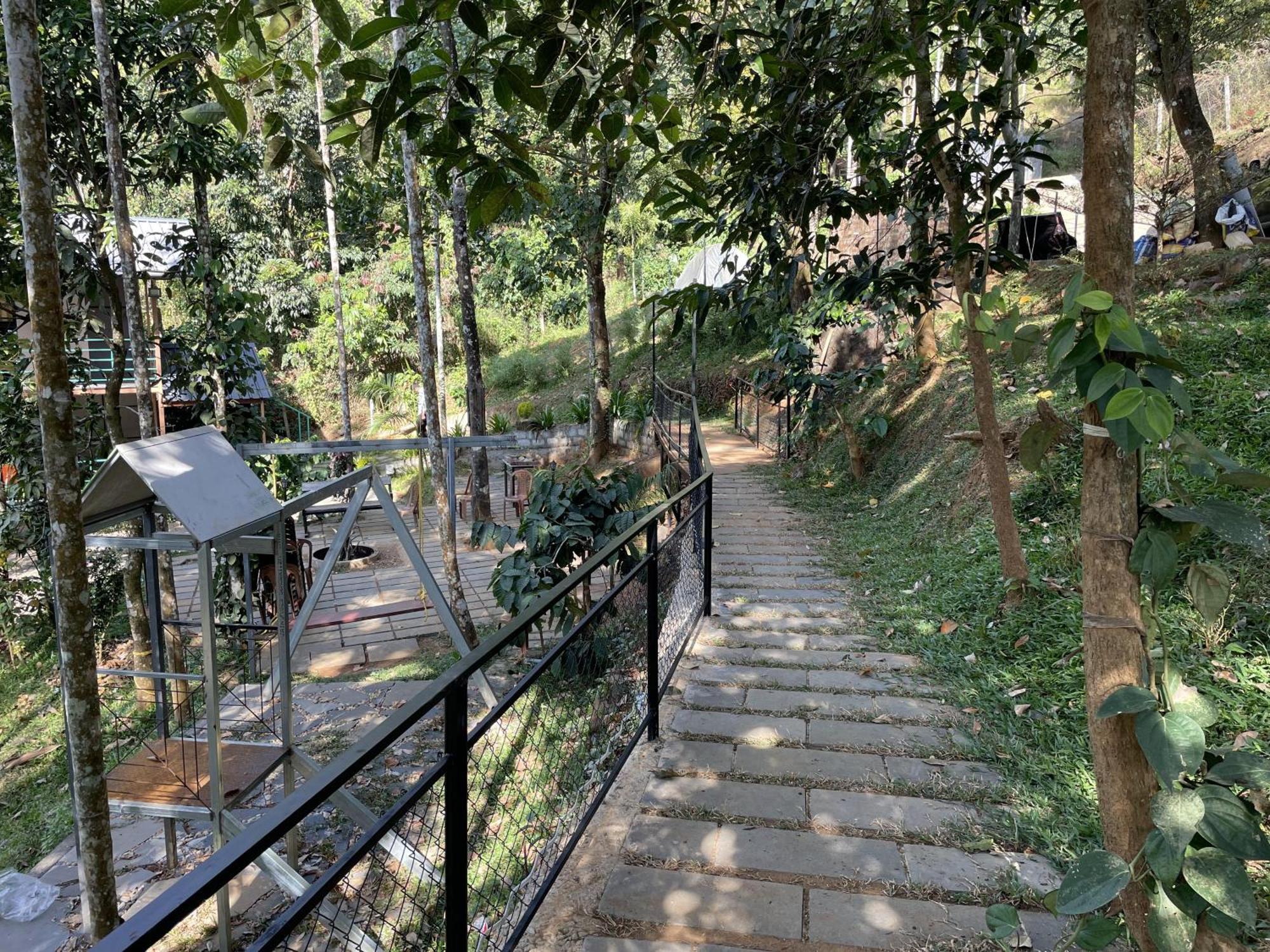 Wetlands Wayanad Pool Resort With Natural Waterfalls Padinjarathara Dış mekan fotoğraf